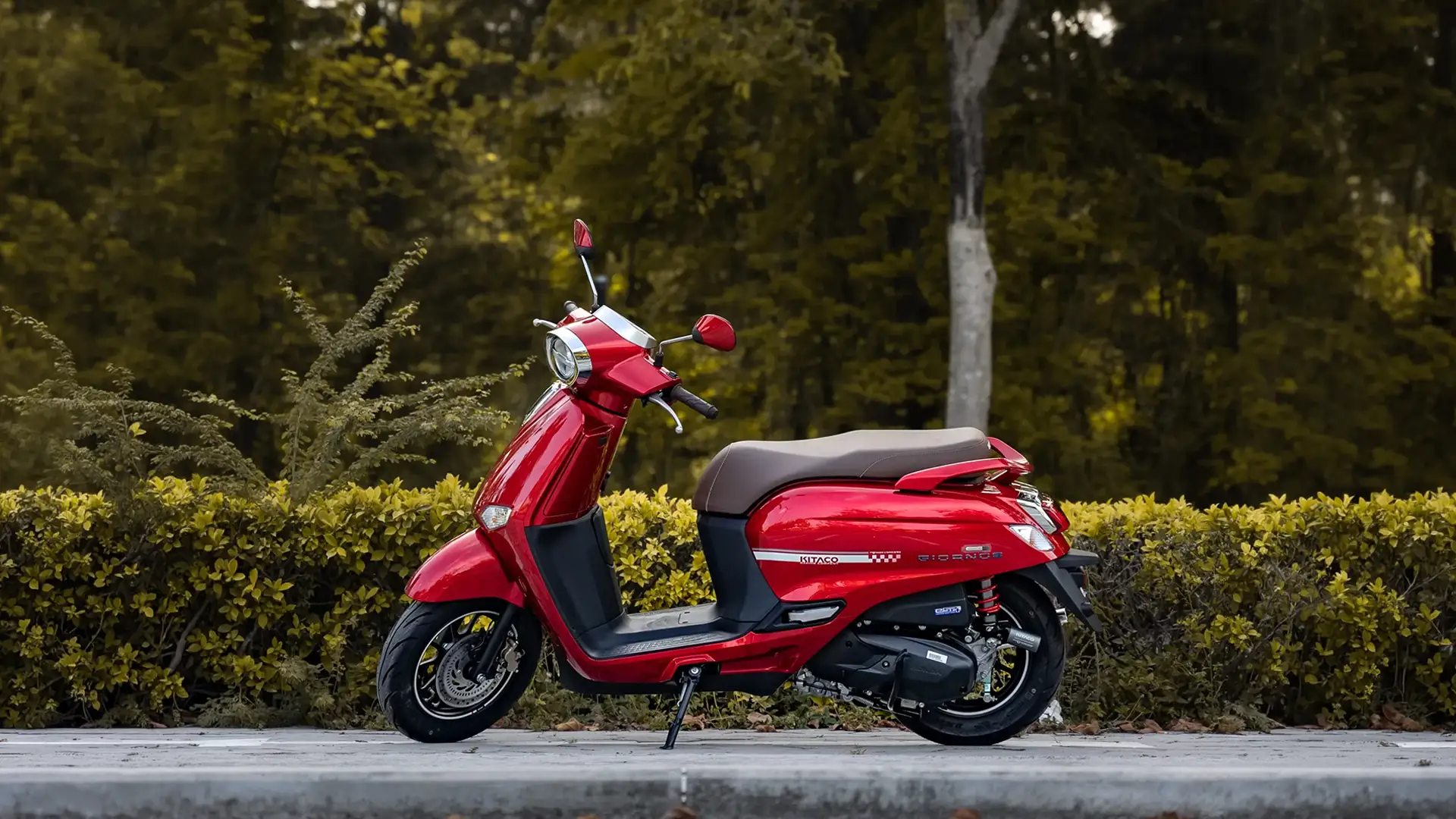 LITUS Automobiles hero
