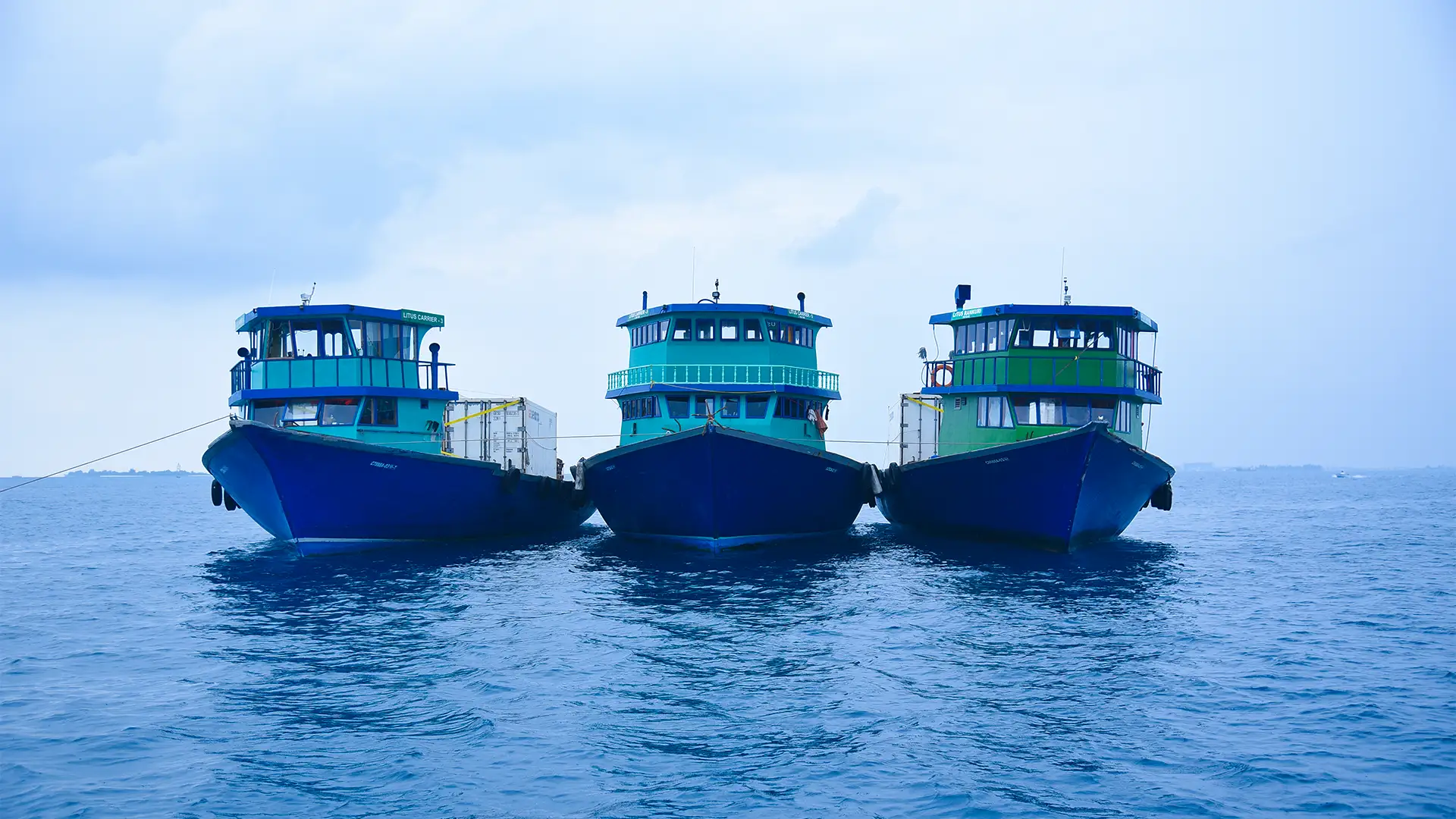LITUS Shipping hero
